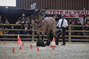 Cyril Canonne et Hirondelle du Marais, épreuve de travail à pied - 1ère place
