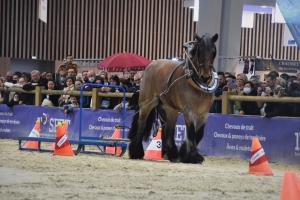 Cyril Canonne et Hirondelle du Marais, épreuve de travail à pied - 1ère place