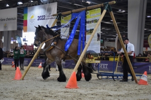 Cyril Canonne et Hirondelle du Marais, épreuve de travail à pied - 1ère place