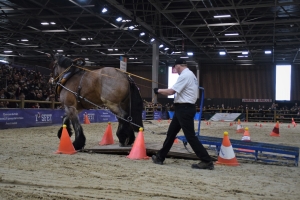 Cyril Canonne et Hirondelle du Marais, épreuve de travail à pied - 1ère place