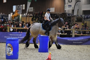 Cassandre Deheul et Inssie de la Source - Trophée monté