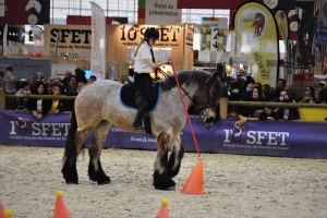 Cassandre Deheul et Inssie de la Source - Trophée monté