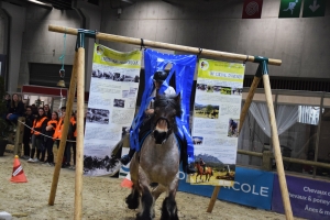 Cassandre Deheul et Inssie de la Source - Trophée monté