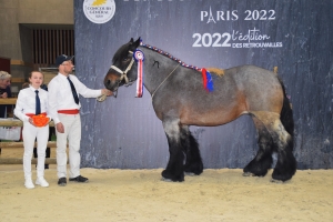 Hadriana du Bois Huré, 1ère place CGA juments - Jean-François DUPUICH (Rely 62)