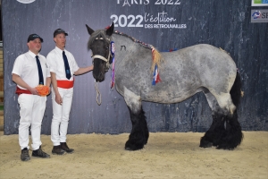 Etoile de Gommegnies, 3ème place CGA juments - François-Xavier SAINTOBERT et Mathieu SEULIN (Mastaing 59)