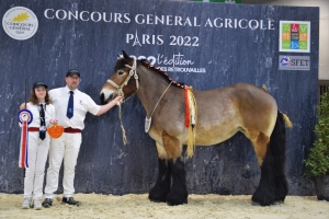 Juju de Taisnieres, 4ème place CGA juments - Romuald VERLOO (Taisnieres en Thierache 59)