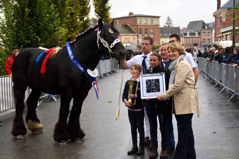 HERCUL DE POSANGES
à Ludovik MORTELECQUE (Carnin- 59)
Champion des Etalons Adultes Trait du Nord 2022