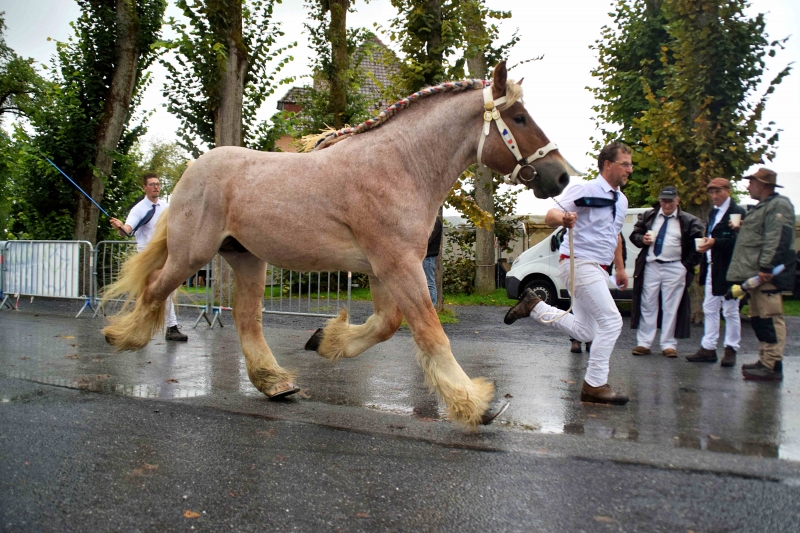 ALEX VAN DE CRIJTENBORCHHOF
à Ludovik MORTELECQUE (Carnin - 59)