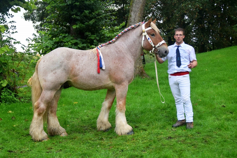 ALEX VAN DE CRIJTENBORCHHOF
à Ludovik MORTELECQUE (Carnin - 59)