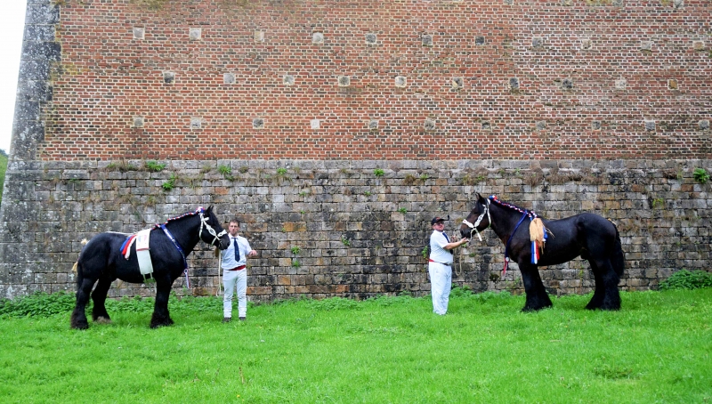 HERCUL DE POSANGES
à Ludovik MORTELECQUE (Carnin- 59)
Champion des Etalons Adultes Trait du Nord 2022

ET

JAZZ DE POISOT
à Valéry VAN VOOREN (Berlaimont - 59)
Champion des Jeunes Etalons Trait du Nord 2022