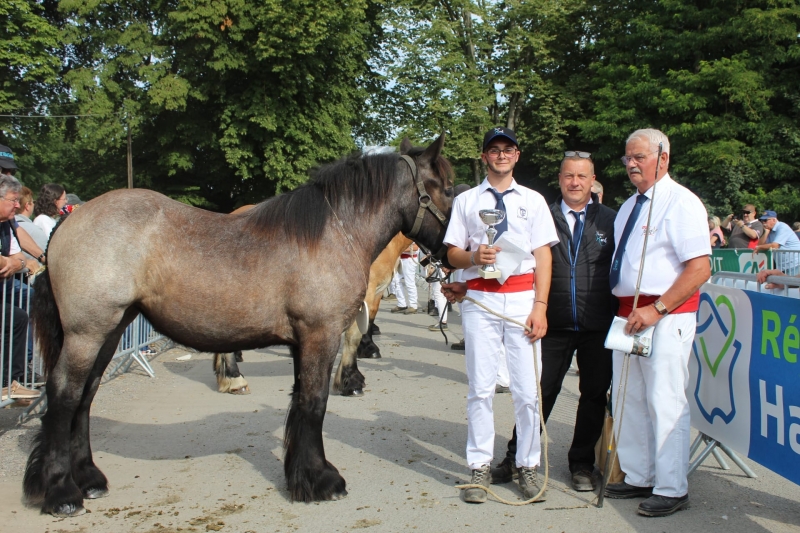 MELBA 9, par Malaga de la Bonne Route et Heidy de l'hirondelle (par Silver d'Oosthove), appartenant à Bertrand BLONDIAU à Gommegnies (naisseur : Christian Schramme)
1ere des pouliches basse taille d'1 an