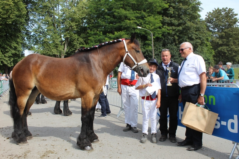 LILAS DU HERON, par Darko du Major et Martha du Blanc Boi (par Sénateur Van't Hoeve de Eik), appartenant à Damien David  à Villeneuve d'Ascq 
1ere des pouliches 2 ans basse taille