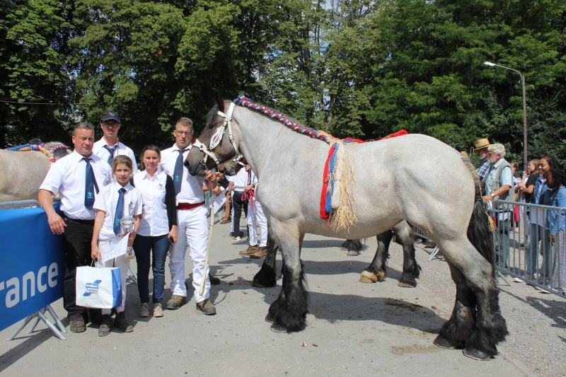 KOUNTRY DES ZIRER, par Carl de Baude et Danseuse du Marais (par Daan Van de Beekseweg), appartenant à Ludovik et Sarah MORTELECQUE à Carnin
1ere des pouliches 3 ans grande taille