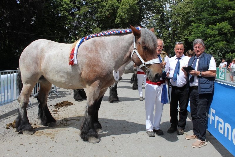 IRIS DE ST AUBIN, par Mistral Van Het Rijkelhof et Caline de St Aubin (par Secret), appartenant à Hubert Dupire (naisseur : Michel Gravez)
1ere des juments non suitées 5 et 6 ans grande taille
