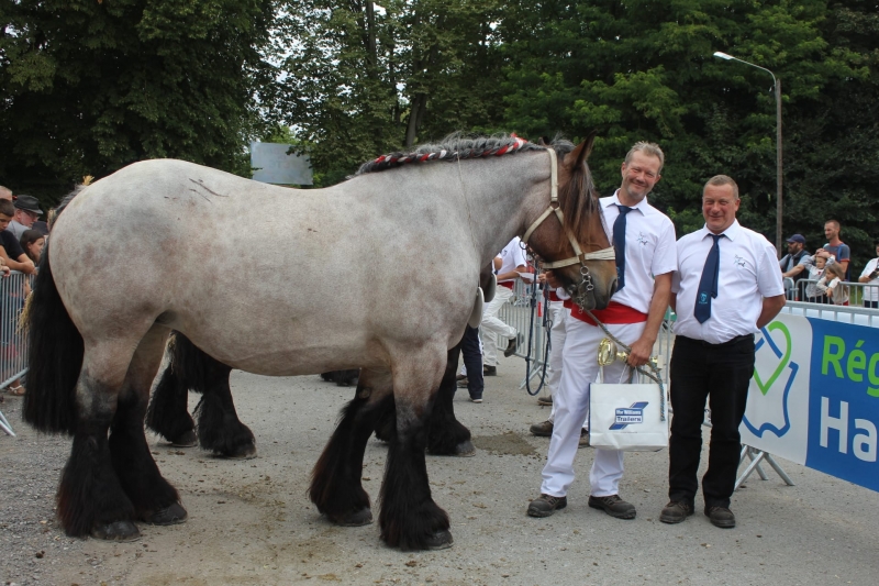 ELYA D'AYMERIES, par Brutus Van Kolhol et Marquise du Bosquet (par Igor de St Remy), appartenant à Benoît VERBEKE de Bailleul (naisseur : Anne-Marie VAN VOOREN)
1ere des juments non suitées de 7 à 9 ans basse taille