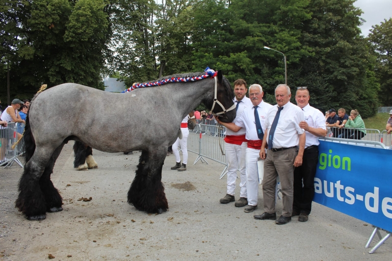 BEAUTE DE LA CRECHE, par Secret et Star de la Crèche (par Castro Van de Zandweg), appartenant à Christian SCHRAMME (naisseur : Michel MOREAU)
1ere des juments non suitées de 10 ans et plus grande taille