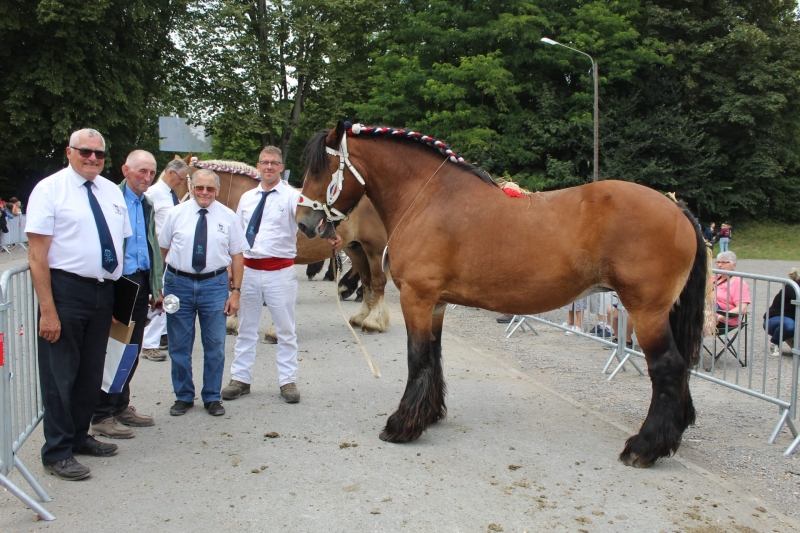SAMBA DES RIEZ, par Castro Van de Zandweg et Omphale des Riez (par Jorquin), appartenant à Dominique COSTENOBLE EARL des Grands Riez à Herlies 
1ere des juments non suitées de 10 ans et plus basse taille