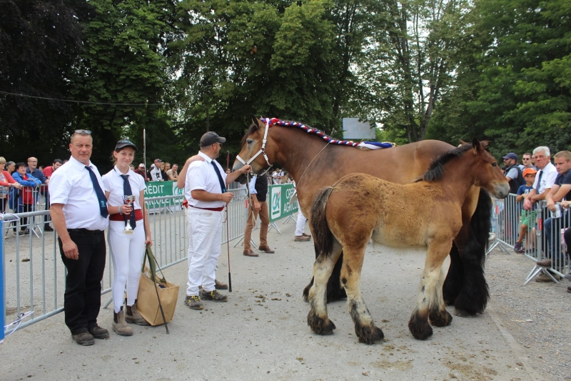 JUJU DE TAISNIERES, par Atos Valaudiere et Aubane de St Aubin (par Samos de Lecelles) appartenant à Chloé et Romuald VERLOO à Taisnieres en Thierache
Suitée de Naya de Taisnieres, pouliche par Nectar Van de Parelhoeve
1ère des juments suitées de 4 ans