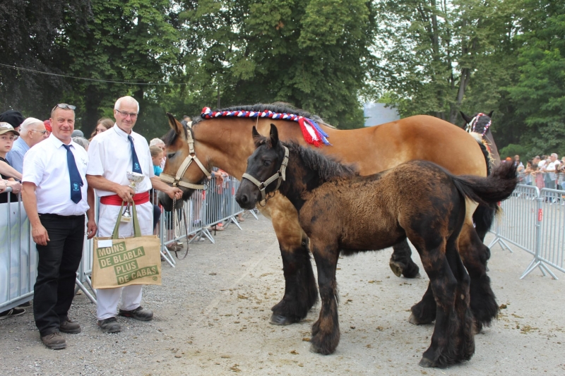 ETOILE 85, 1ere des juments suitées 7-9 ans basse taille 
Par Hardy Van de Bonempolder et Oseille du Biez (par Coquin), appartenant à Maxime Deraeve de Boeschepe
Suitée de Neige des Monts, pouliche par Malaga de la Bonne Route