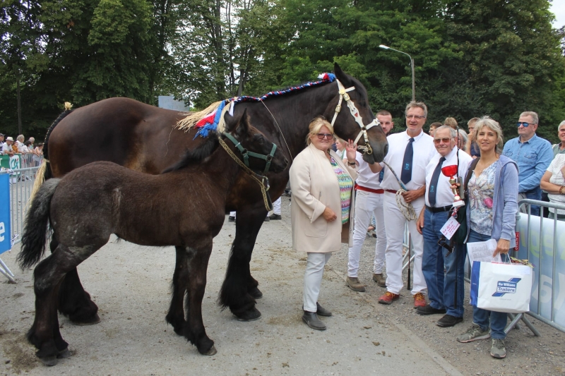 FOSTINE D'AOUSSIOUS, 1ere des juments suitées 7-9 ans basse taille
Par Farao Van de Heikant et Verona Van Het Laerhof (par Buffalo Van't Camillenhof), appartenant à André Lacoste de Arrens-Marsous 
Suitée de Neige d'Aoussious, pouliche par Filou Van't Rietenhof
Récompensé spécialement pour la distance effectuée pour se rendre à notre concours : André et sa jument suitée viennent des Pyrénées !