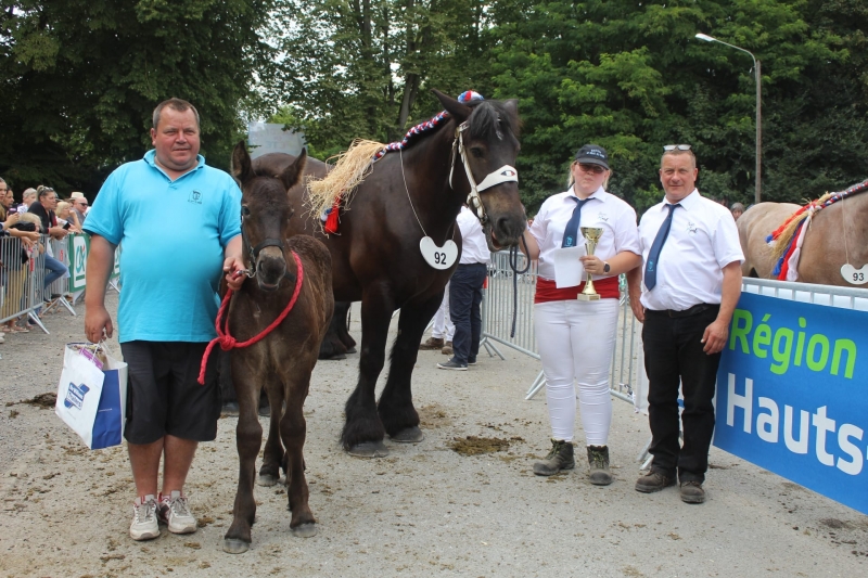 CHIMENE DES NATIONS, 1ere des juments suitées 10 ans et plus grande taille
Par Secret et Surya des Nations (par Kaza de St Remy), appartenant à Gregory Contesse de St Remy du Nord 
Suitée de Noblesse du Grand Chêne, pouliche par Hardi Van de Ronewijk