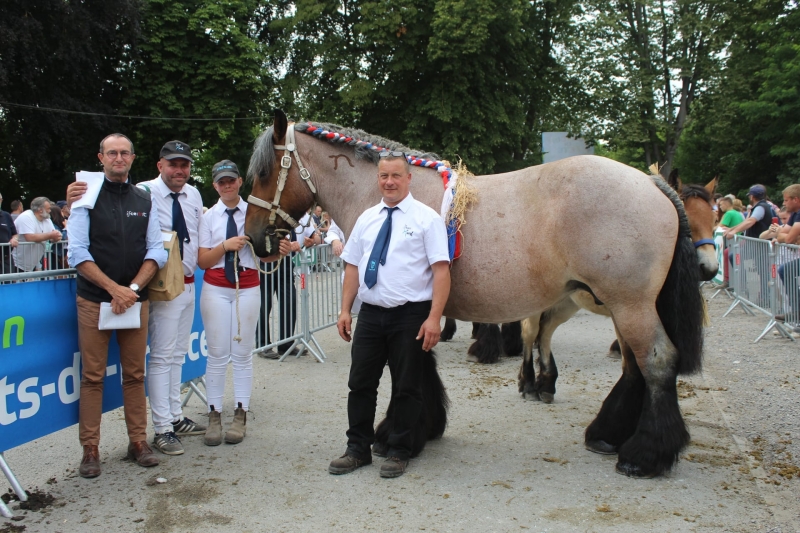 DONA DE SAINT AUBIN, 1ere des juments suitées 10 ans et plus basse taille
Par Brutus Van Kolhol et Madonna de St Remy (par Hercule du Touquet), appartenant à Cyril Contesse de St Aubin
Suitée de Nina des Bodelez, pouliche par Arthur Van Wooldink