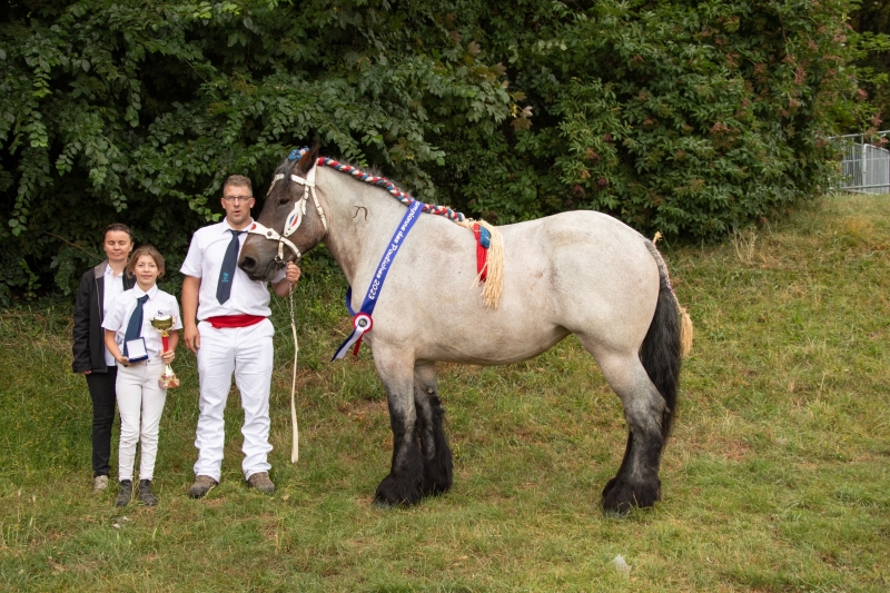 KOUNTRY DES ZIRER
Championne des Pouliches 2023
Appartenant à Ludovik et Sarah MORTELECQUE (CARNIN)

© Samuel DHOTE - CRRG