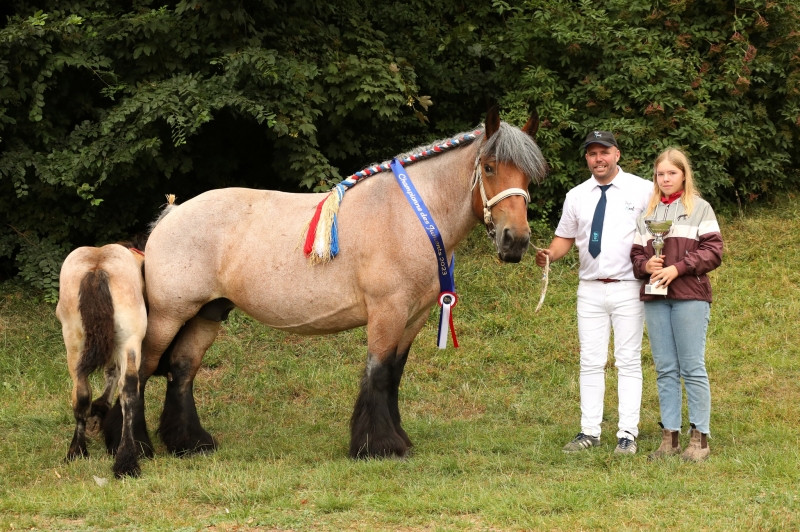 DONA DE ST AUBIN
Championne des Juments 2023
Appartenant à Cyril CONTESSE (SAINT-AUBIN)

© Samuel DHOTE - CRRG