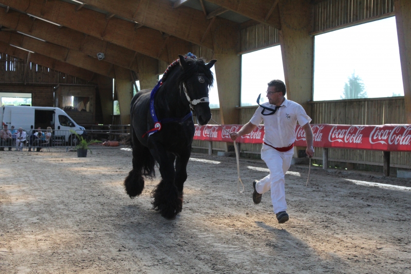 HERCUL DE POSANGES
né en 2017

Catégorie Rappel de Championnat
1er prix

Note : 43.5

Appartenant à Ludovik MORTELECQUE à Carnin (59)