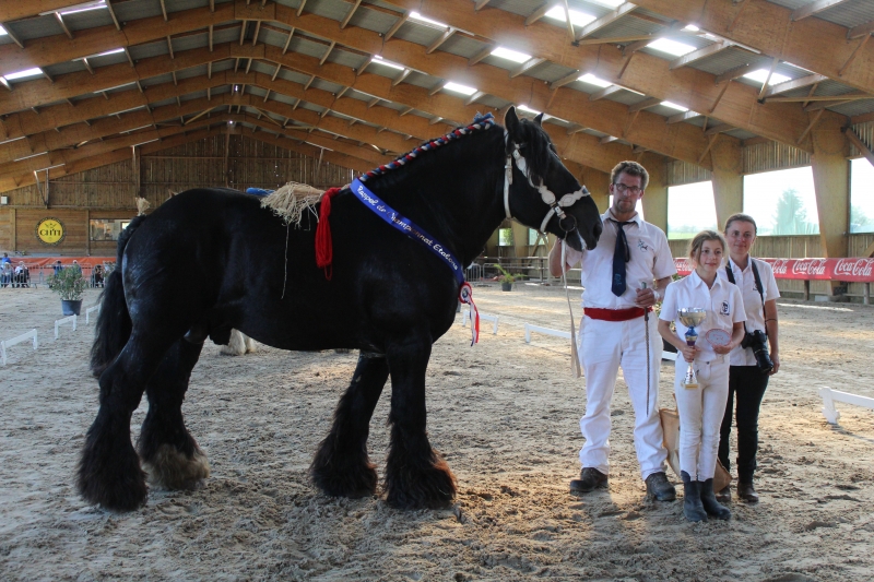 HERCUL DE POSANGES
né en 2017

Catégorie Rappel de Championnat
1er prix

Note : 43.5

Appartenant à Ludovik MORTELECQUE à Carnin (59)