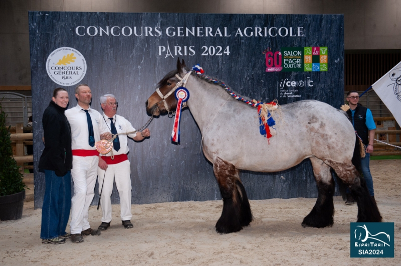 ELYA D'AYMERIES
2ème prix
Finale Juments CGA 2024
(Benoit VERBEKE à Bailleul-59)
