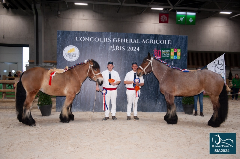 JADE DE MORMAL
4ème prix
HIRONDELLE DU MARAIS
6ème prix
Finale Juments CGA 2024
(Cyril et François-Xavier CANONNE à Flines Lez Râches-59)