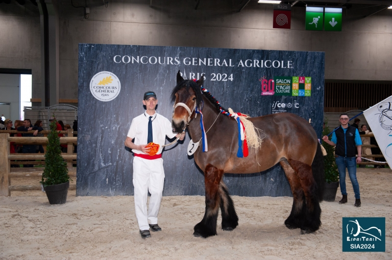 KESIE DE ST ELOI
5ème prix
Finale Juments CGA 2024
(David COLARD à Serain-02)