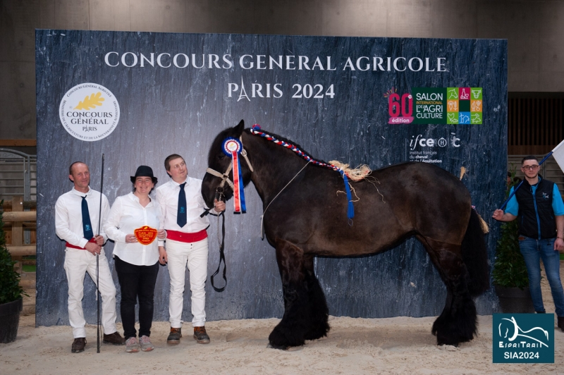 GRACE DU MOULIN 
3ème prix
Finale Juments CGA 2024
(Mélanie CORBIER à Faumont-59)