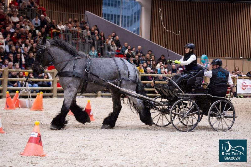 ICONE DE ST ELOI et Julie BERSILLON (Omissy-02)
3ème de l'épreuve de maniabilité attelée
Trophée d'utilisation Jeunes Chevaux