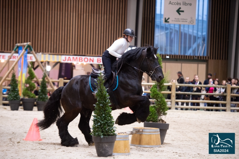 BLACK DE L'HOGNEAU et Aurélie MONTULET (Itancourt-02)
6ème du Trophée monté
