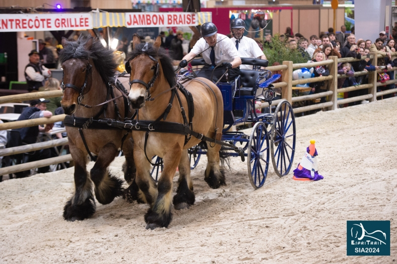 JADE DE MORMAL et HIRONDELLE DU MARAIS, menées Cyril CANONNE (Flinez Lez Râches-59)
8ème de l'épreuve de maniabilité attelée
Trophée d'utilisation Inter-Races