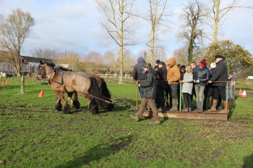 Sélection Trait du Nord, trophées du Salon de l'Agriculture 2024