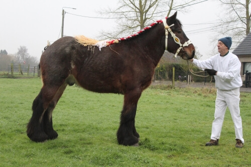 Marque complémentaire 2025