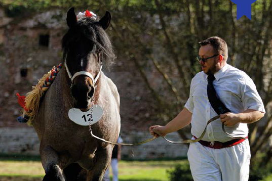 Annuaire des étalons et flyers 2020