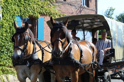 Expérimentation de ramassage scolaire à Bachy
