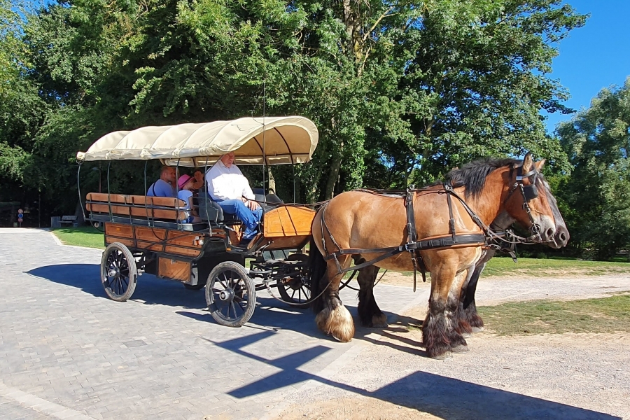 Balades en calèche à Le Quesnoy