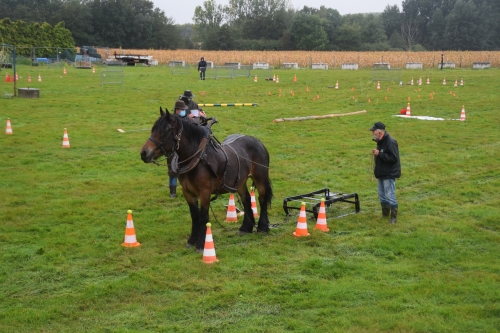 Résultats du concours d'utilisation de Genech