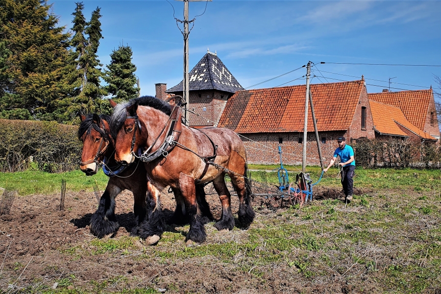 Plantons notre héritage !