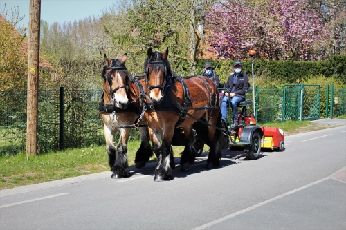 Expérimentation de balayage hippomobile