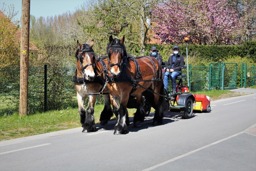 Expérimentation de balayage hippomobile