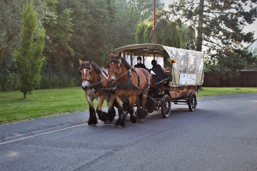 Expérimentation de ramassage scolaire à Sainghin en Mélantois