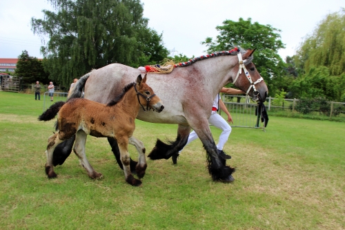 Retour sur la saison de concours 2021
