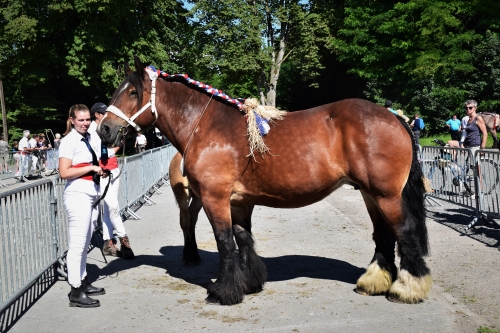 National des Femelles 2021