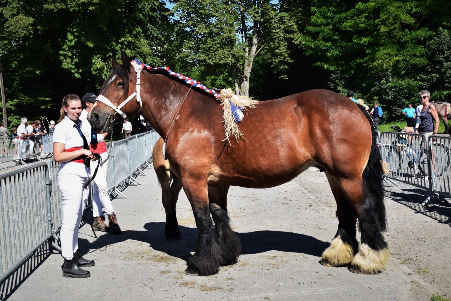 National des Femelles 2021